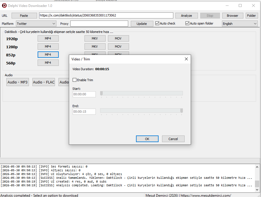 Delphi Video Downloader Interface