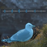 Ses Dünyasının “Photoshop”u Geldi: Meta’nın Yeni Yapay Zekası SAM Audio ile Tanışın! 🎧✨