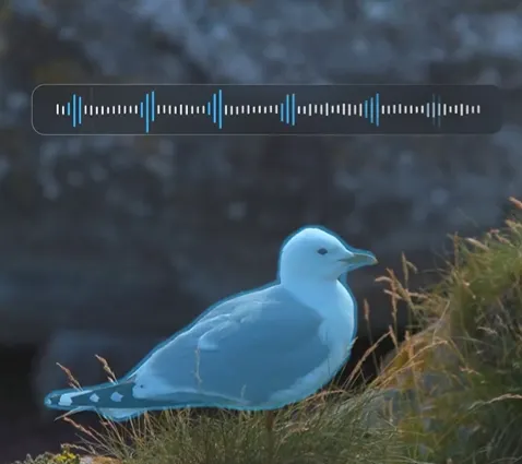 Ses Dünyasının “Photoshop”u Geldi: Meta’nın Yeni Yapay Zekası SAM Audio ile Tanışın! 🎧✨